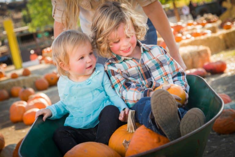 Halloween Crafts for Toddlers - Mommy Enlightened